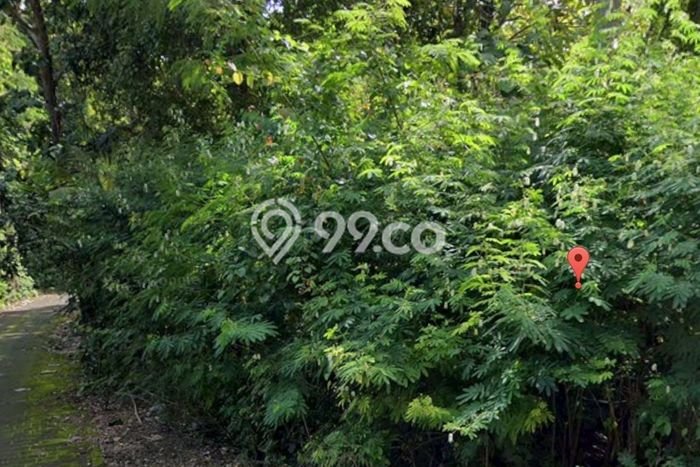 Dijual Tanah 2000m2 di Pecatu, Badung Dijual Tanah 2000m2 di Pecatu, Badung
