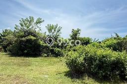 Tanah Dijual di Badung Seluas 454m2 Strategis Tanah Dijual di Badung Seluas 454m2 Strategis