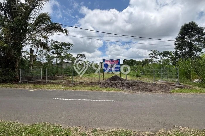 Tanah Dijual Lokasi Tegallalang, Gianyar dengan Luas Tanah 2091m2 dan Status SHM Tanah Dijual Lokasi Tegallalang, Gianyar dengan Luas Tanah 2091m2 dan Status SHM