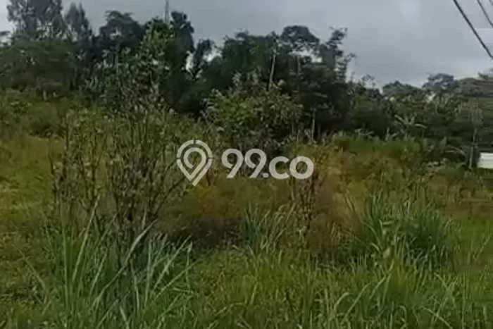 Tanah Kavling Dijual di Bangli dengan Spesifikasi 3000m2 Tanah Kavling Dijual di Bangli dengan Spesifikasi 3000m2