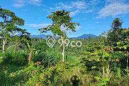 Tanah Kavling Dijual di Bangli dengan Spesifikasi 70000m2 Tanah Kavling Dijual di Bangli dengan Spesifikasi 70000m2