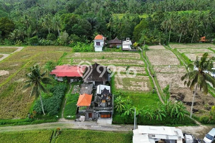 Tanah Kavling Dijual di Gianyar dengan Spesifikasi 5400m2 Tanah Kavling Dijual di Gianyar dengan Spesifikasi 5400m2