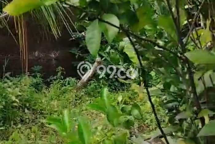 Tanah Kavling untuk Dijual di Kuta Badung 250m2 Tanah Kavling untuk Dijual di Kuta Badung 250m2