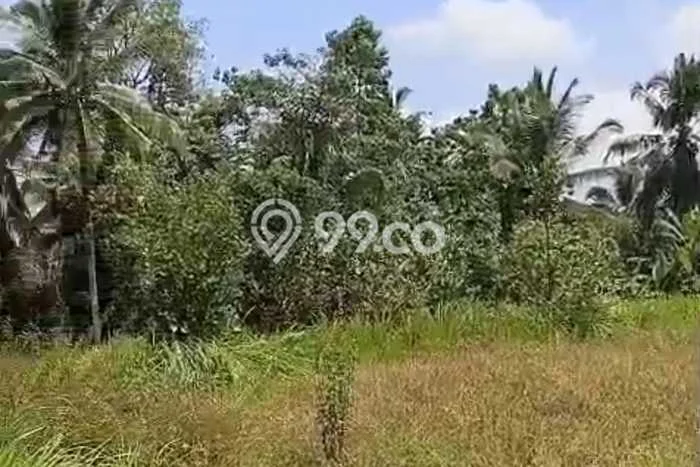 Tanah Siap Bangun Dijual di Tabanan Punya Luas 4700m2 Tanah Siap Bangun Dijual di Tabanan Punya Luas 4700m2