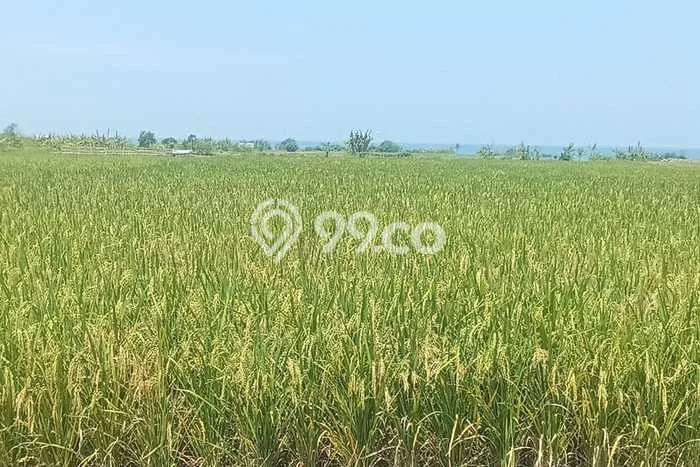 Tanah Dijual di Tabanan Seluas 4300m2 Strategis Tanah Dijual di Tabanan Seluas 4300m2 Strategis