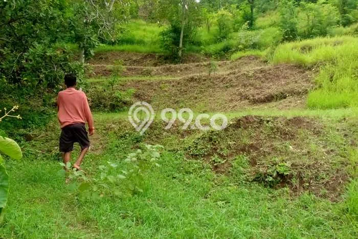 Tanah Kavling Dijual di Buleleng dengan Spesifikasi 27000m2 Tanah Kavling Dijual di Buleleng dengan Spesifikasi 27000m2