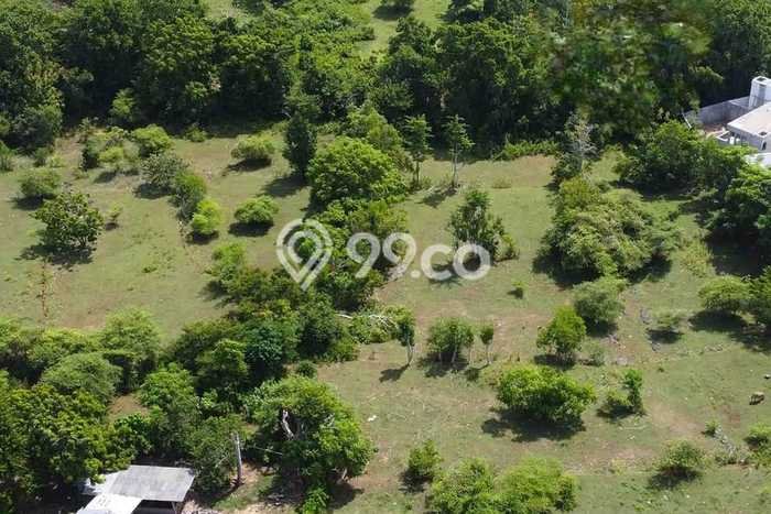Tanah Dijual Area Strategis di Pecatu Badung 23000m2 Tanah Dijual Area Strategis di Pecatu Badung 23000m2
