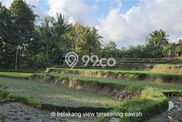Kavling Tanah Dijual di Tegallalang Gianyar Spesifikasi 450m2 Kavling Tanah Dijual di Tegallalang Gianyar Spesifikasi 450m2