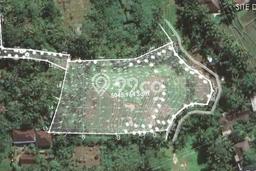 Untuk Dijual Tanah 6860m2 di Lodtunduh, Gianyar Untuk Dijual Tanah 6860m2 di Lodtunduh, Gianyar