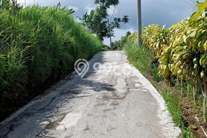 Kavling Tanah untuk Dijual di Bedugul, Tabanan, Luas 13000m2 Kavling Tanah untuk Dijual di Bedugul, Tabanan, Luas 13000m2