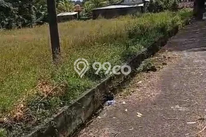 Tanah Siap Bangun Dijual di Tabanan Punya Luas 4700m2 Tanah Siap Bangun Dijual di Tabanan Punya Luas 4700m2