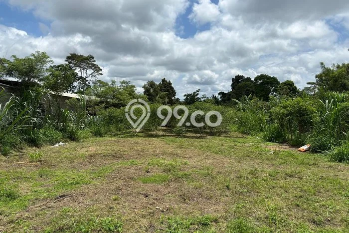 Tanah Dijual Lokasi Tegallalang, Gianyar dengan Luas Tanah 2091m2 dan Status SHM Tanah Dijual Lokasi Tegallalang, Gianyar dengan Luas Tanah 2091m2 dan Status SHM