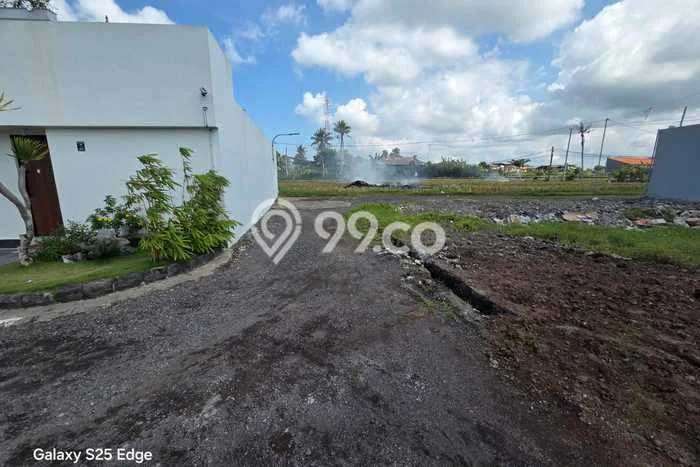 Kavling Tanah untuk Dijual di Beraban, Tabanan, Luas 300m2 Kavling Tanah untuk Dijual di Beraban, Tabanan, Luas 300m2