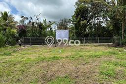 Tanah Dijual Lokasi Tegallalang, Gianyar dengan Luas Tanah 2091m2 dan Status SHM Tanah Dijual Lokasi Tegallalang, Gianyar dengan Luas Tanah 2091m2 dan Status SHM