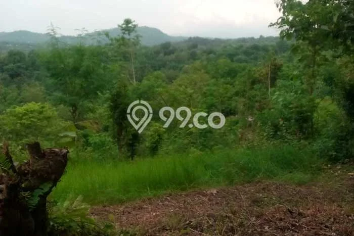 Tanah Kavling Dijual di Buleleng dengan Spesifikasi 27000m2 Tanah Kavling Dijual di Buleleng dengan Spesifikasi 27000m2