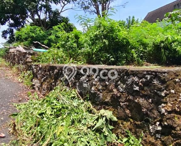 Kavling Tanah untuk Dijual di Kutuh, Badung, Luas 1000m2 Kavling Tanah untuk Dijual di Kutuh, Badung, Luas 1000m2
