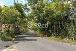 Tanah Dijual Area Strategis di Pecatu Badung 23000m2 Tanah Dijual Area Strategis di Pecatu Badung 23000m2