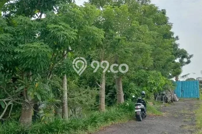 Lahan Kosong Dijual di Gianyar dengan Area 1100m2 Lahan Kosong Dijual di Gianyar dengan Area 1100m2
