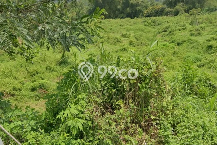 Kavling Tanah Lokasi Strategis di Wagir, Malang Disewakan 3000m2 Kavling Tanah Lokasi Strategis di Wagir, Malang Disewakan 3000m2