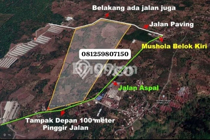 Untuk Disewa Tanah di Gempol Luas 1e+07m2 SHM Untuk Disewa Tanah di Gempol Luas 1e+07m2 SHM
