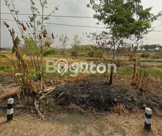 Tanah Dijual di Indramayu Seluas 31201m2 Strategis Tanah Dijual di Indramayu Seluas 31201m2 Strategis