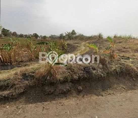 Tanah Dijual di Indramayu Seluas 31201m2 Strategis Tanah Dijual di Indramayu Seluas 31201m2 Strategis