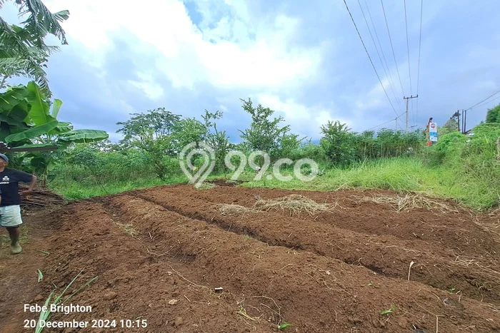 Kavling Tanah Lokasi Strategis di Wagir, Malang Disewakan 3000m2 Kavling Tanah Lokasi Strategis di Wagir, Malang Disewakan 3000m2