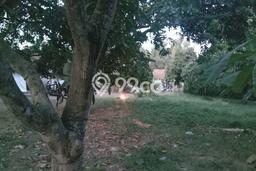 Lahan Kosong Dijual di Gantar, Indramayu, Luas 2842m2 Area Strategis Lahan Kosong Dijual di Gantar, Indramayu, Luas 2842m2 Area Strategis