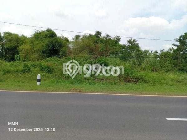 Tanah Siap Bangun Dijual di Indramayu Punya Luas 23282m2 Tanah Siap Bangun Dijual di Indramayu Punya Luas 23282m2
