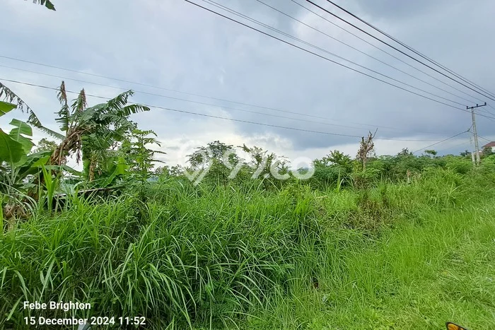 Kavling Tanah Lokasi Strategis di Wagir, Malang Disewakan 3000m2 Kavling Tanah Lokasi Strategis di Wagir, Malang Disewakan 3000m2