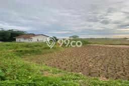 Untuk Dijual Tanah di Legok Tangerang Luas 935m2 SHM Untuk Dijual Tanah di Legok Tangerang Luas 935m2 SHM