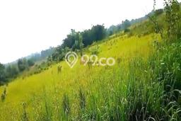 Kavling Tanah Dijual di Legok Tangerang Spesifikasi 4000m2 Kavling Tanah Dijual di Legok Tangerang Spesifikasi 4000m2