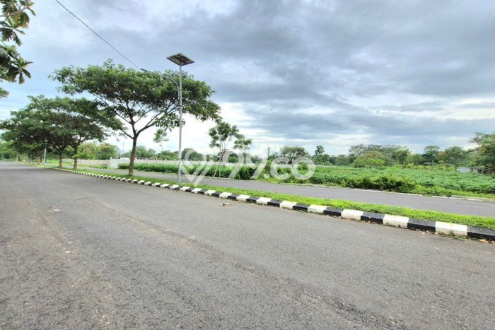 Tanah Dijual Lokasi Mojosongo, Boyolali Luas 9000m2 Legalitas Aman Tanah Dijual Lokasi Mojosongo, Boyolali Luas 9000m2 Legalitas Aman