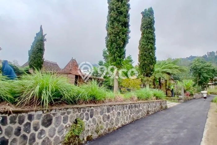 Unit Komersial Disewa Lokasi Ngargoyoso, Karanganyar Spesifikasi Luas Bangunan 250m2 Unit Komersial Disewa Lokasi Ngargoyoso, Karanganyar Spesifikasi Luas Bangunan 250m2