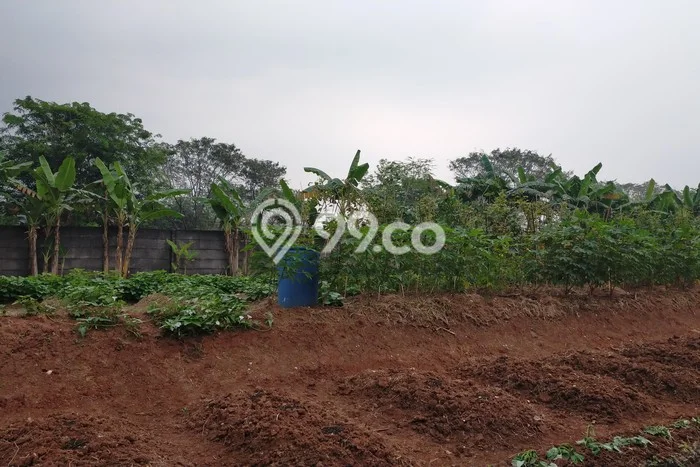 Dijual Tanah di Bogor, Luas 240m2 - Dijual Tanah di Bogor, Luas 240m2 -