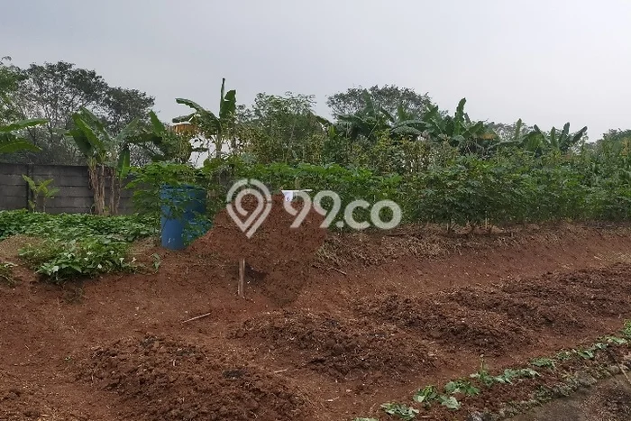 Dijual Tanah di Bogor, Luas 240m2 - Dijual Tanah di Bogor, Luas 240m2 -