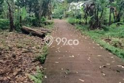 Tanah Dijual Area Strategis di Boja Semarang 231m2 Tanah Dijual Area Strategis di Boja Semarang 231m2