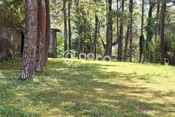 Dijual Tanah Lokasi Lembang, Bandung Seluas 1000m2 Dijual Tanah Lokasi Lembang, Bandung Seluas 1000m2