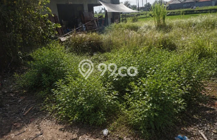 Kavling Tanah Dijual di Blahbatuh, Gianyar, Luas 153m2 Area Strategis Kavling Tanah Dijual di Blahbatuh, Gianyar, Luas 153m2 Area Strategis