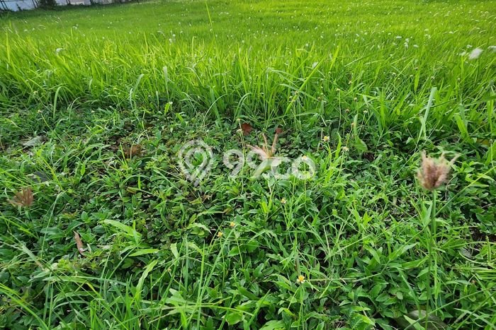 Lahan untuk Dijual di Tangerang Tangerang Luas 300m2 Lahan untuk Dijual di Tangerang Tangerang Luas 300m2