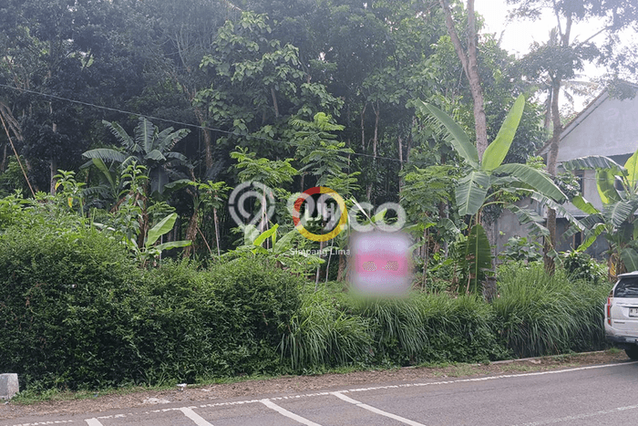 Tanah Kavling di Sidorejo Dijual dengan Luas 805m2 Tanah Kavling di Sidorejo Dijual dengan Luas 805m2