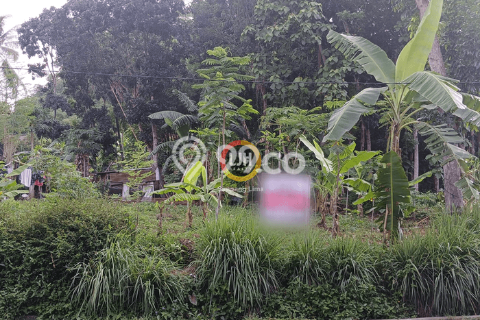 Tanah Kavling di Sidorejo Dijual dengan Luas 805m2 Tanah Kavling di Sidorejo Dijual dengan Luas 805m2