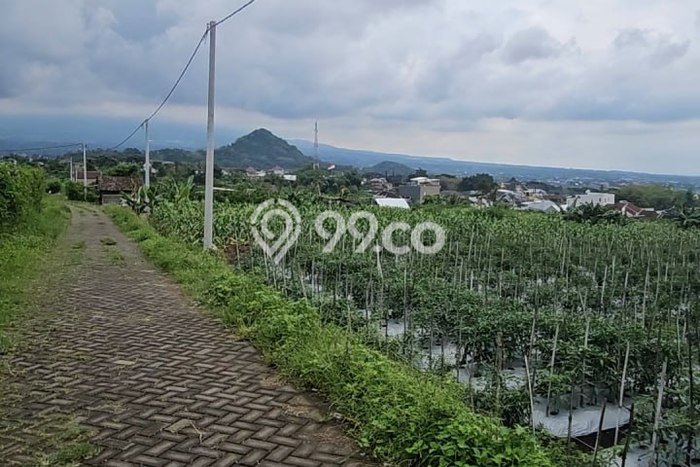 Kavling Tanah Dijual di Junrejo Batu Spesifikasi 131m2 Kavling Tanah Dijual di Junrejo Batu Spesifikasi 131m2