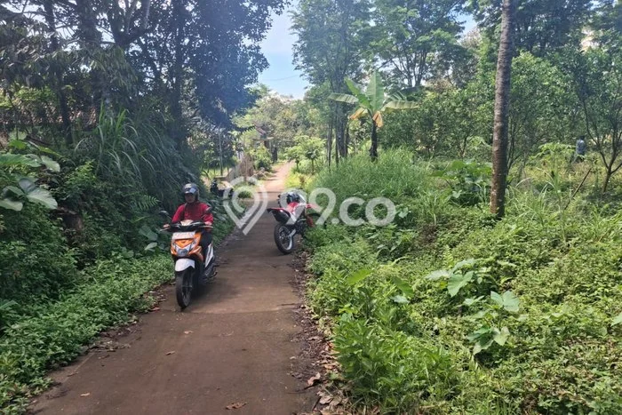 Tanah untuk Dijual di Tajinan Malang Luas 1667m2 Tanah untuk Dijual di Tajinan Malang Luas 1667m2