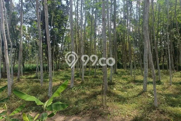 Lahan Dijual Lokasi Tajinan, Malang dengan Luas Tanah 1062m2 dan Status SHM Lahan Dijual Lokasi Tajinan, Malang dengan Luas Tanah 1062m2 dan Status SHM