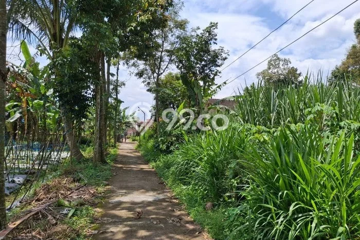 Lahan Dijual Lokasi Tajinan, Malang dengan Luas Tanah 1062m2 dan Status SHM Lahan Dijual Lokasi Tajinan, Malang dengan Luas Tanah 1062m2 dan Status SHM