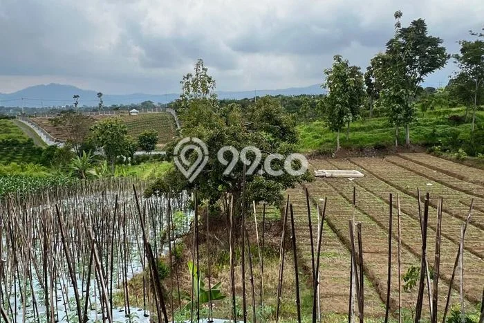 Lahan untuk Dijual di Bumiaji Batu Luas 715m2 Lahan untuk Dijual di Bumiaji Batu Luas 715m2