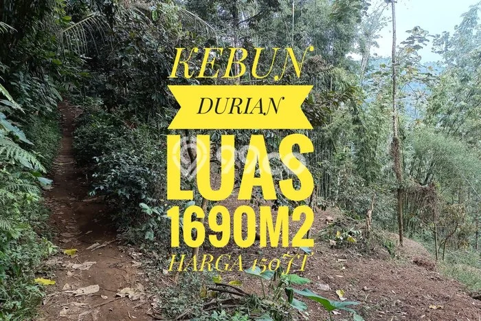 Lahan untuk Dijual di Tajinan Malang Luas 1690m2 Lahan untuk Dijual di Tajinan Malang Luas 1690m2
