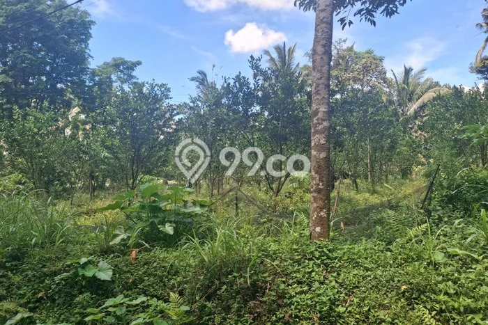 Tanah untuk Dijual di Tajinan Malang Luas 1667m2 Tanah untuk Dijual di Tajinan Malang Luas 1667m2