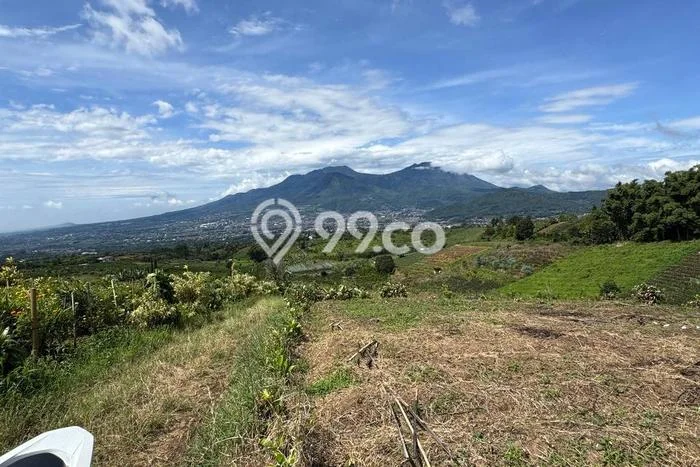 Tanah Dijual Lokasi Batu, Batu Luas 800m2 Legalitas Aman Tanah Dijual Lokasi Batu, Batu Luas 800m2 Legalitas Aman